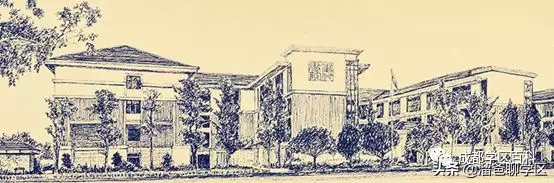 大源片区小学排名,高新区大源片区学校排名