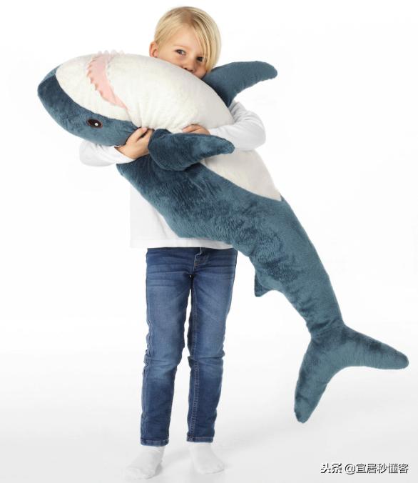 宜家小鲨鱼,为什么宜家鲨鱼火了