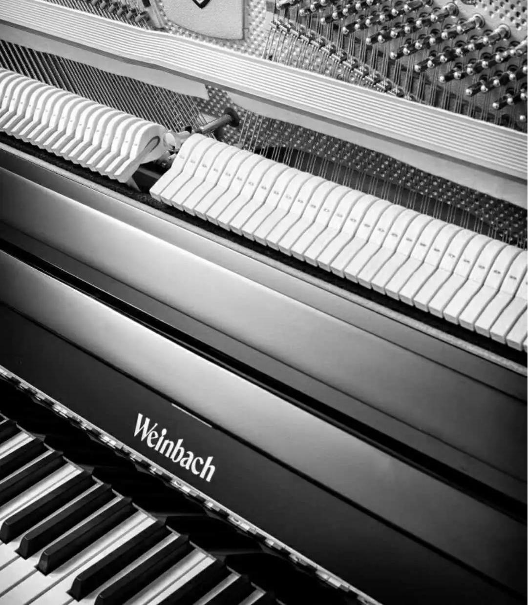 电吉他依班娜店,西安依班娜