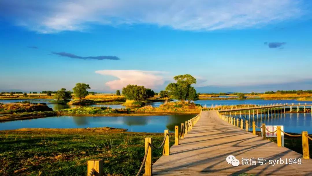 我叫沈阳,我叫沈阳话