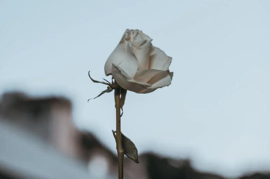 聪明女人投资自己,什么样的投资适合自己