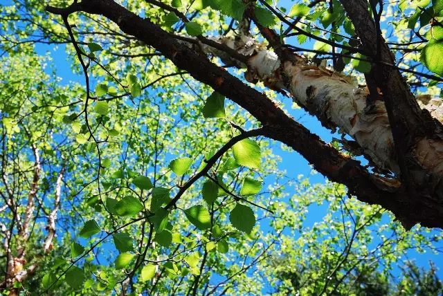 2019年全球必去的52个目的地,2023必去旅游地方排名