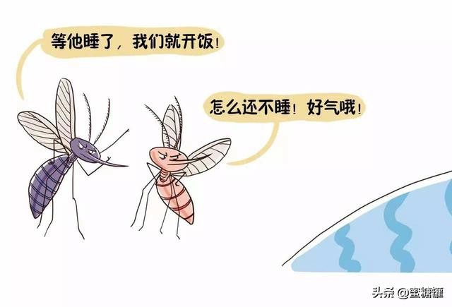 蚊子咬人跟血型没多大关系，它喜欢女士身上的体香味