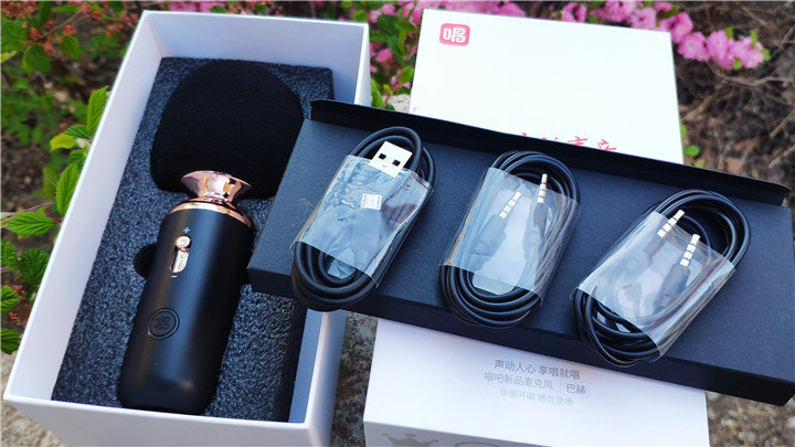 唱吧巴赫麦克风图片,唱吧巴赫麦克风连接电视