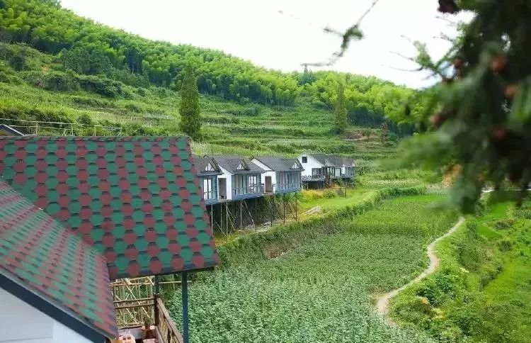 浙江丽水最好的民宿,丽水缙云仙都民宿价格攻略