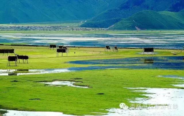 丽江去香格里拉路途中有什么景点,丽江到香格里拉走214国道打卡景点