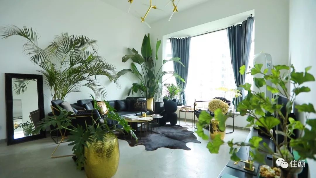 网购家具和实体店家具有什么区别,同样是网店为什么旗舰店的贵