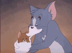 养猫就是抓老鼠吗,还有多少人养猫是为了抓老鼠的