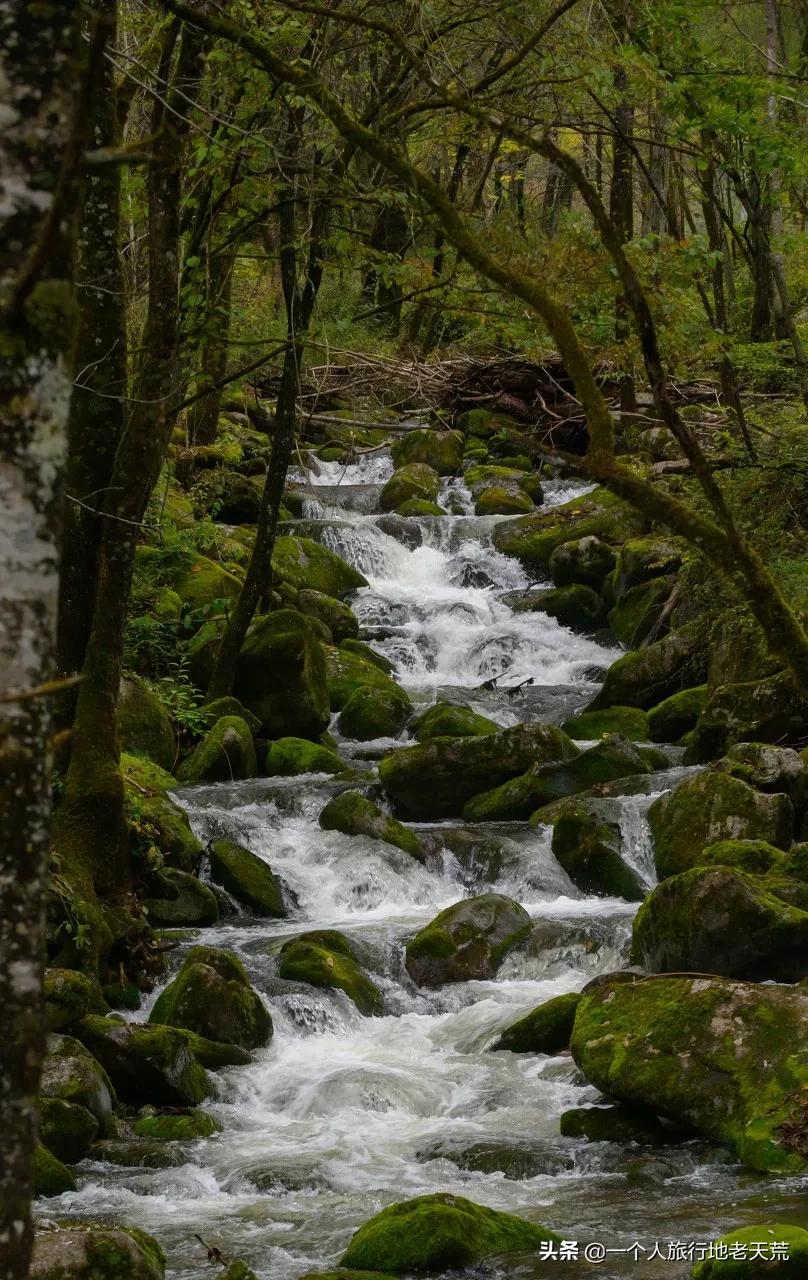 这座低调的宝藏老城被西安光芒掩盖，却是中国最具性价比的旅行地