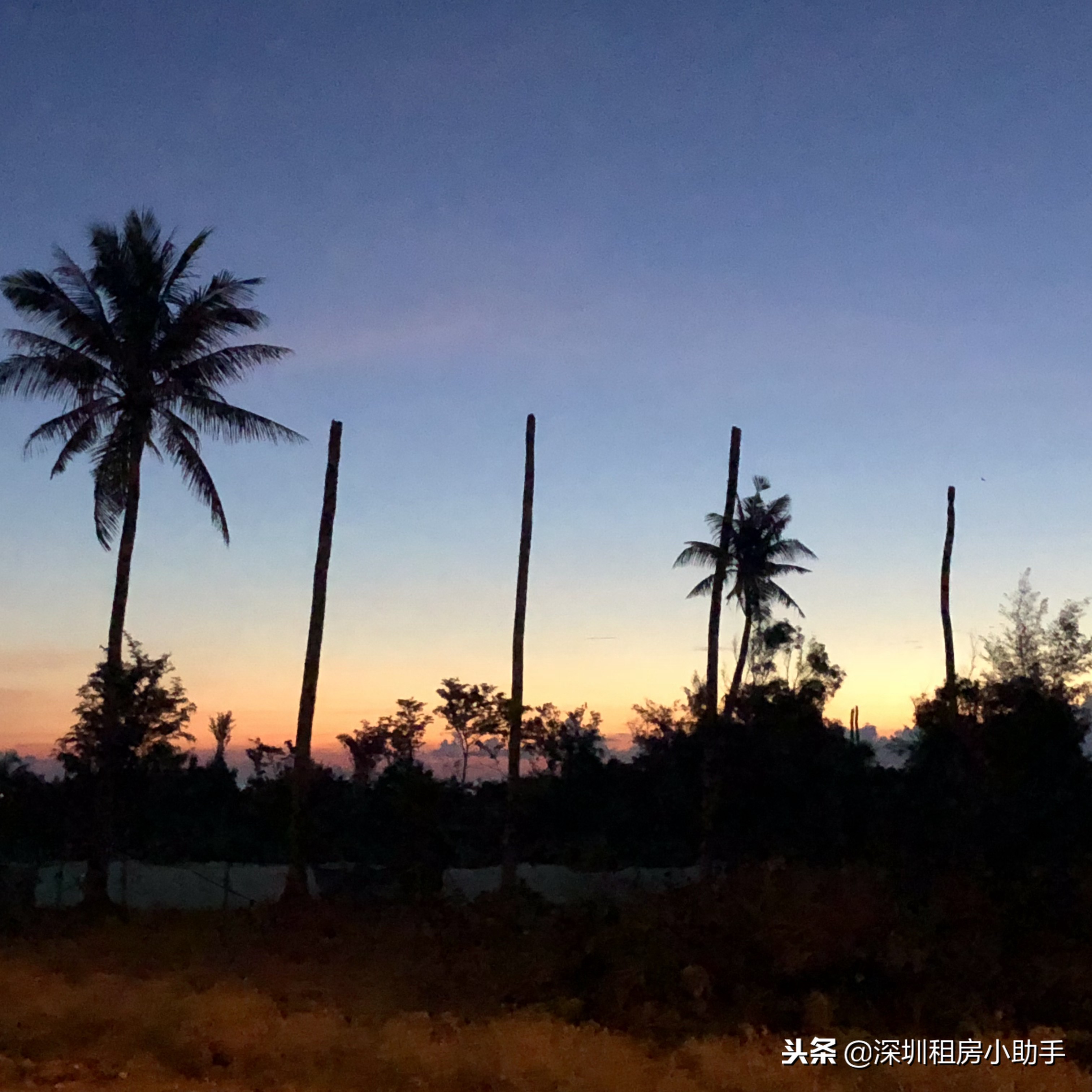 从越南大叻骑行到美奈,越南自由行4天3夜景点