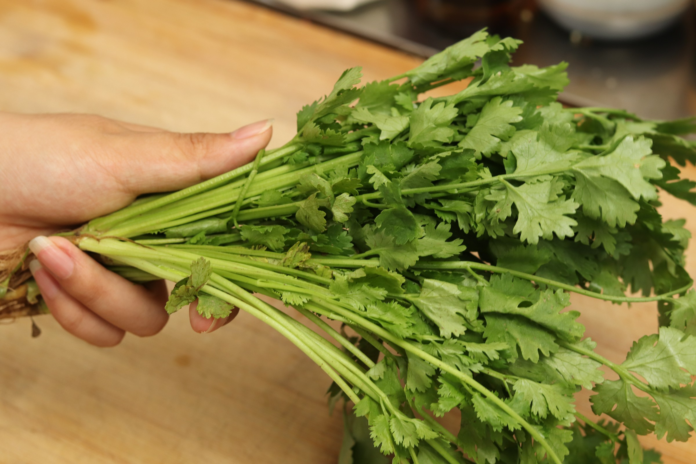 吃不完的香菜怎么保存,吃不完的香菜怎样再栽培