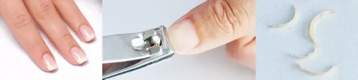 答疑解惑和答疑解析,答疑解惑提什么问题好服务