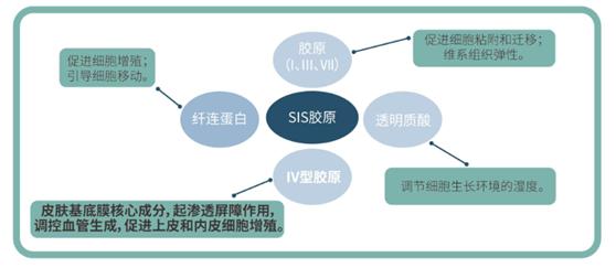 皮肤屏障受损怎么修复最简单有效,可预修复皮肤屏障受损的医用产品