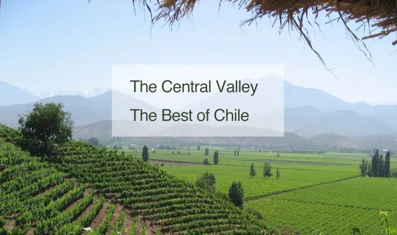 佳美娜carmenere2018价格表,佳美娜1882