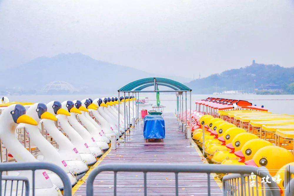 初春南京一日游攻略导图,南京秋景一日游的攻略