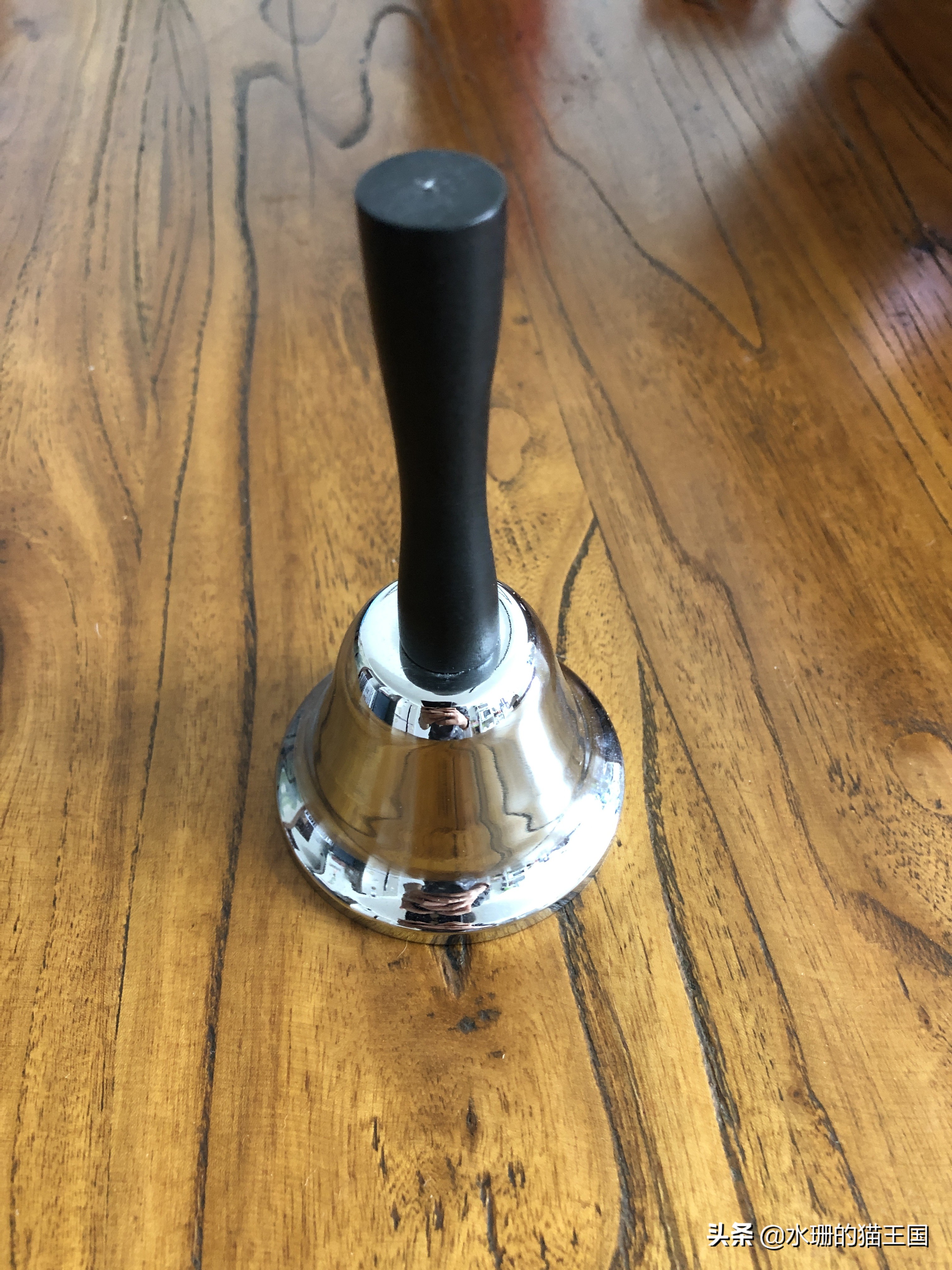 如何养猫才能驯服猫,猫也可以像狗一样训练吗