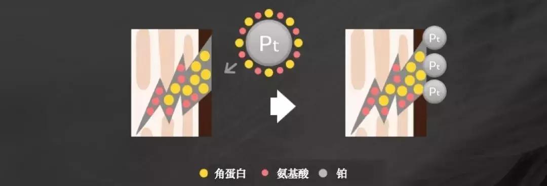 洗发水推荐控油蓬松樱花,claynal樱花洗发水推荐