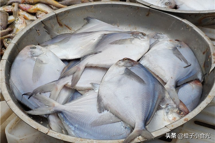 喜欢吃鱼，聪明人就买这5种，便宜营养，主要目前没有人工养殖