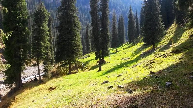 带上UL从狼塔C回家