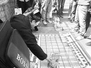 黄雀看相,识破江湖骗术