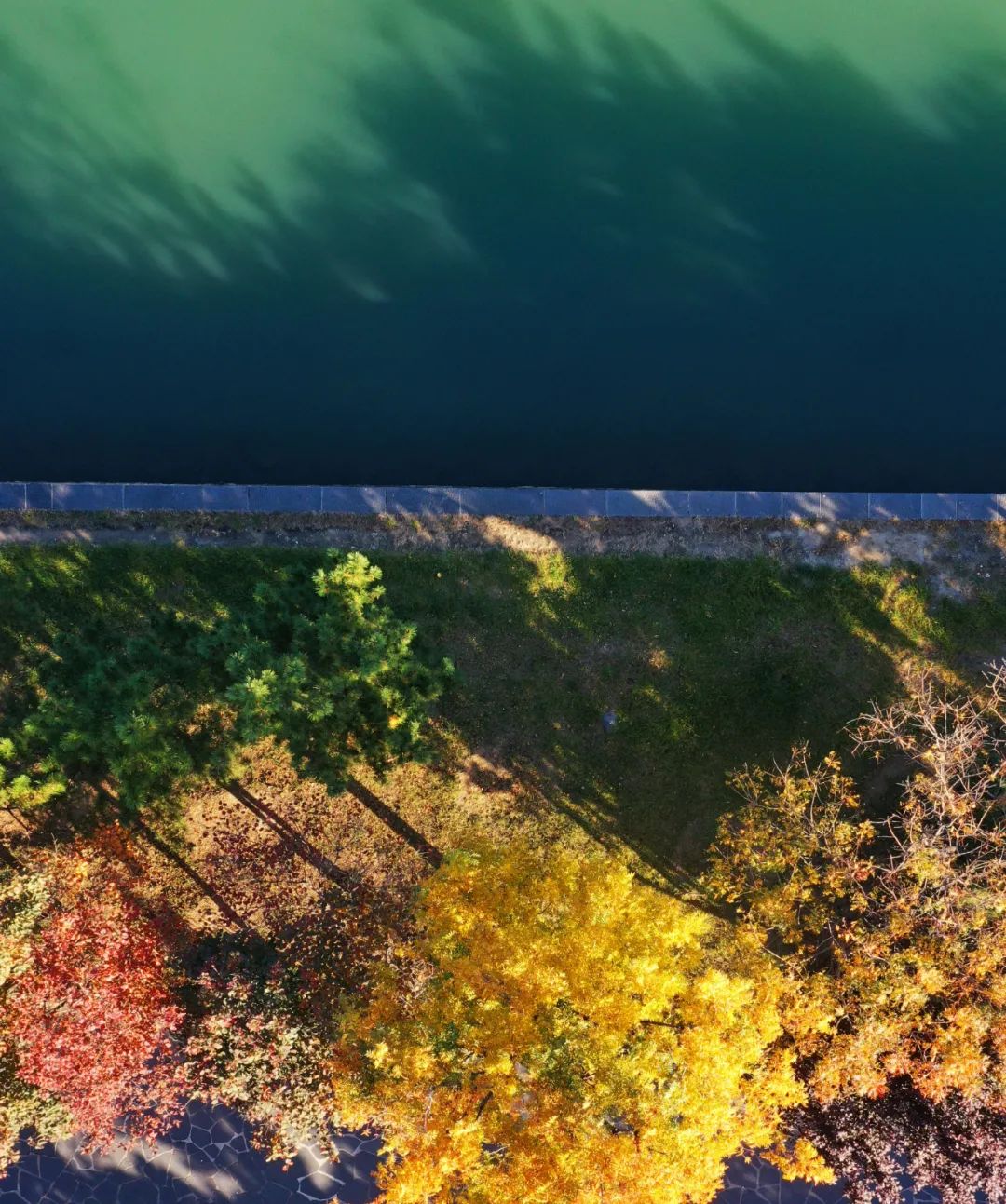 3天2夜游！它是被低估的海滨小城，藏着独属于11月的盛大美景|冬游齐鲁