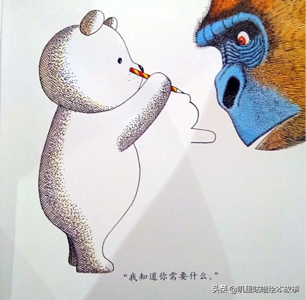 安东尼布朗儿童绘本合集,安东尼布朗出品的绘本有哪些