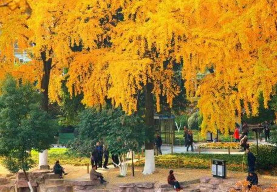 宁波东钱湖温泉酒店排行榜,宁波东钱湖旅游度假酒店推荐