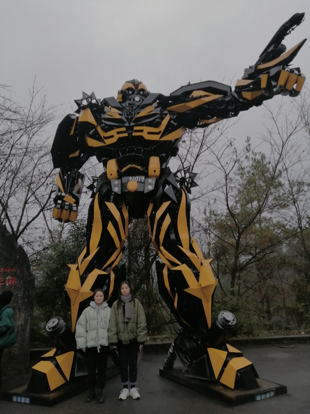 武隆仙女山和天坑两日游,重庆武隆仙女山2日游
