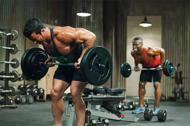 健身每个部位一周练几次最好,一个星期练两次练什么部位好