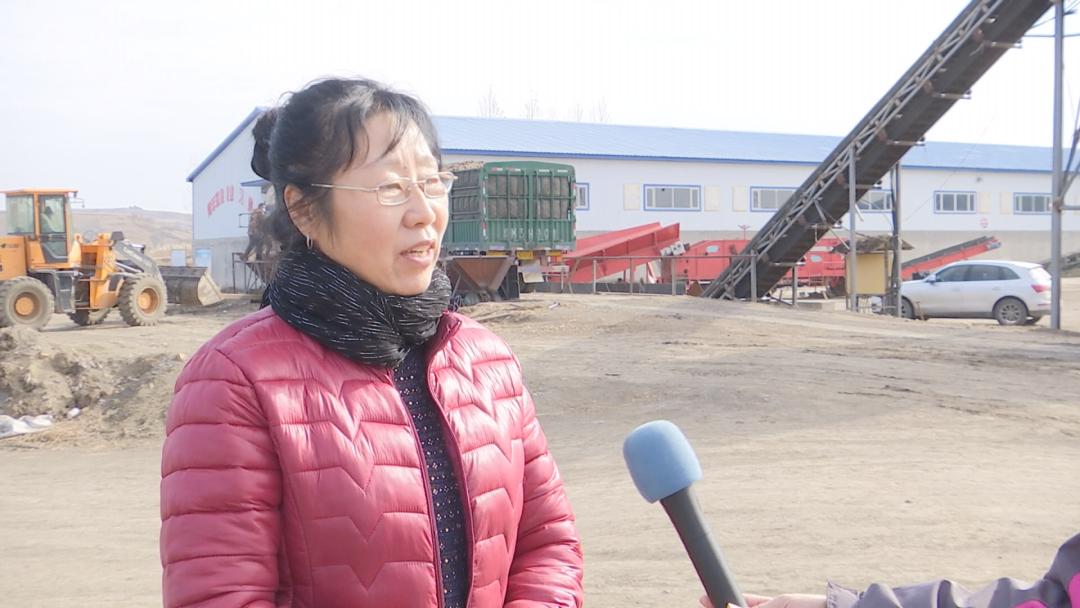 林口栽洋芋,林口马铃薯