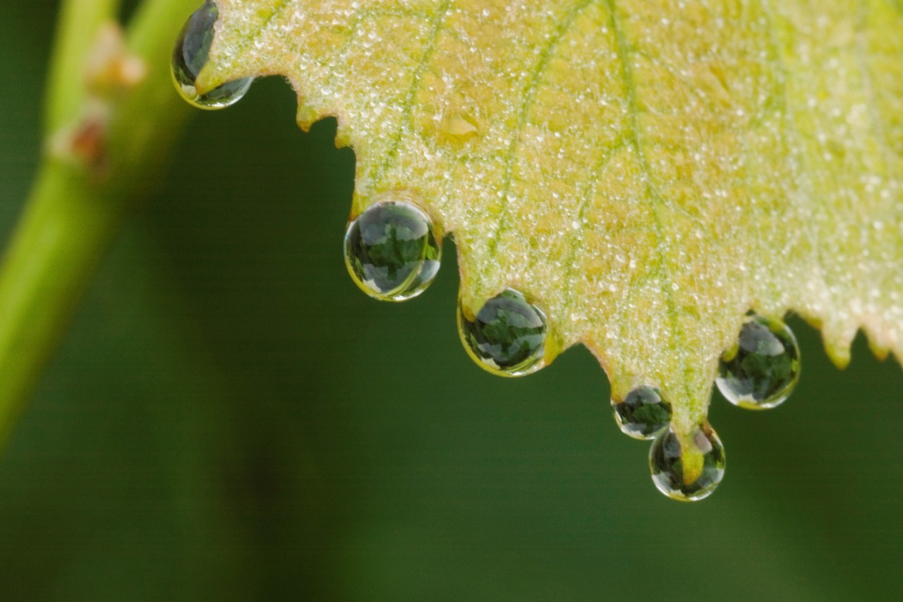高中英语语音考点,高中英语数字考点