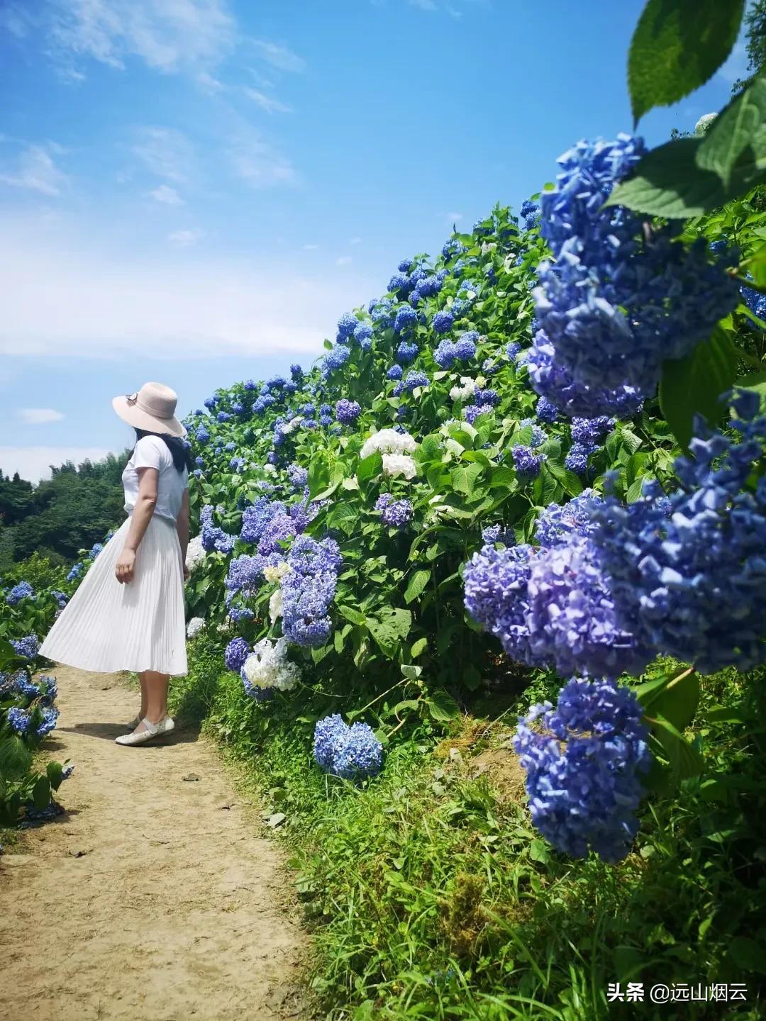 电动自拍杆怎么使用的,手机自拍杆怎样使用