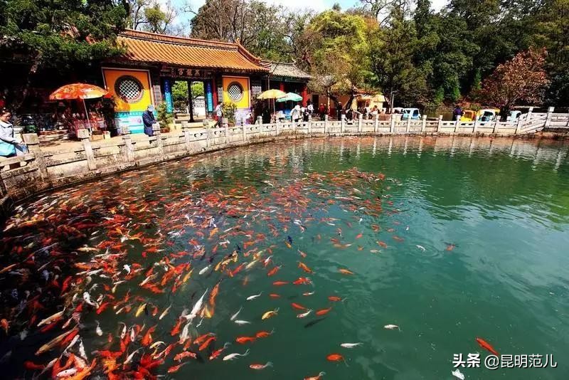 昆明国庆旅游攻略七天,昆明旅游的路线攻略大全