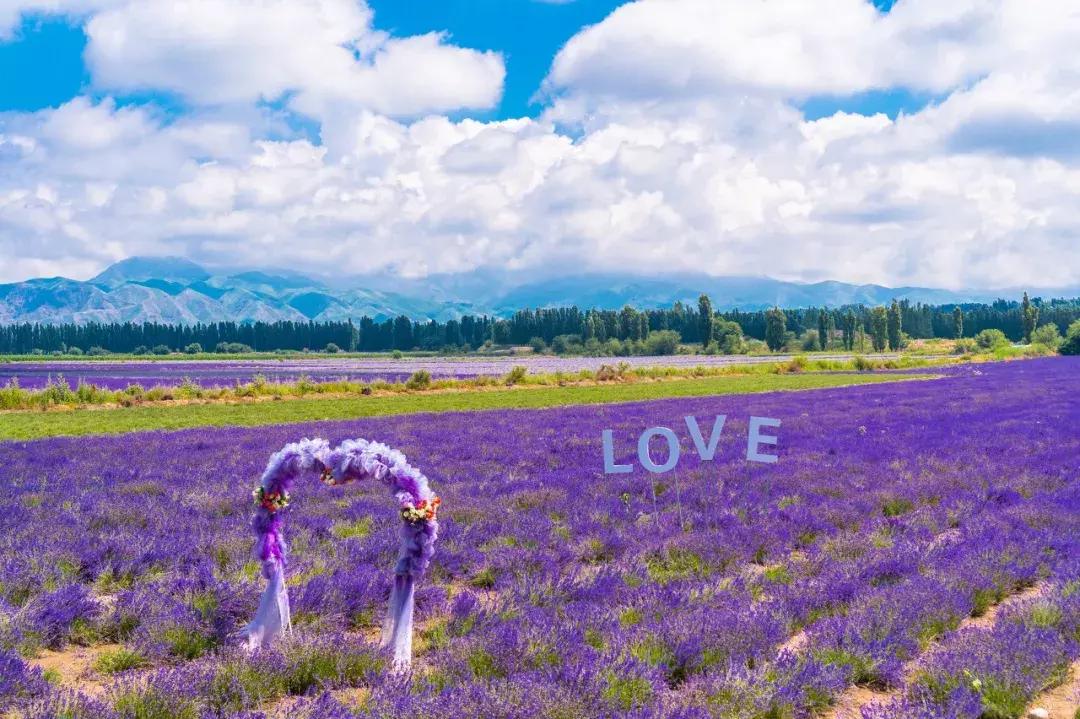 新疆的天堂在哪,新疆人间天堂在哪