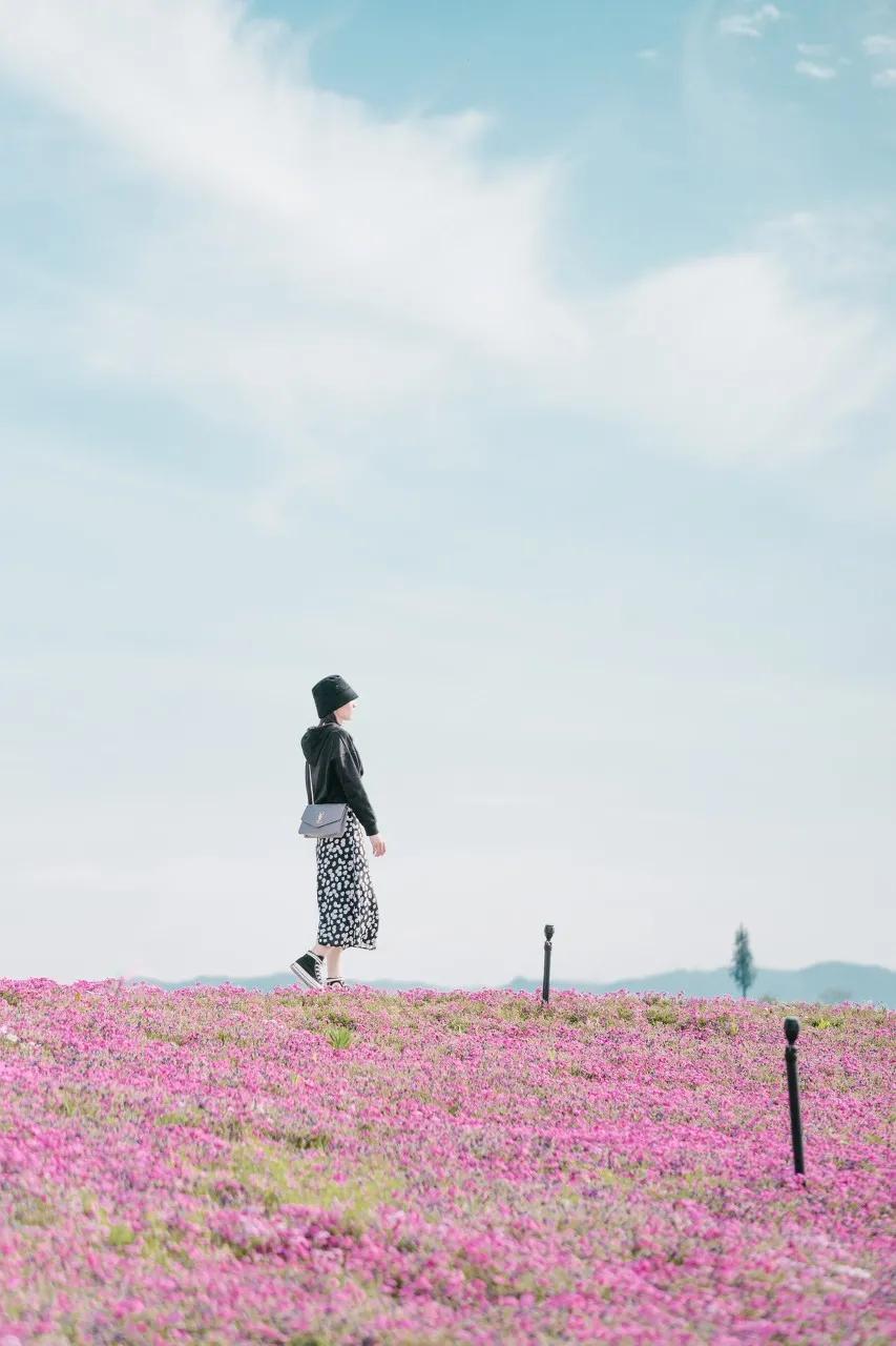 宁波周末走走,宁波旅游必去十大景点推荐自驾游