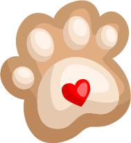 广州最好吃的甜品蛋糕推荐,蛋糕甜品推荐好吃又便宜