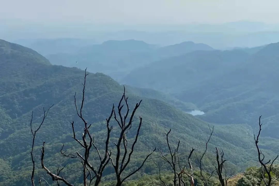 恩平两日游,长假不拥挤的城市
