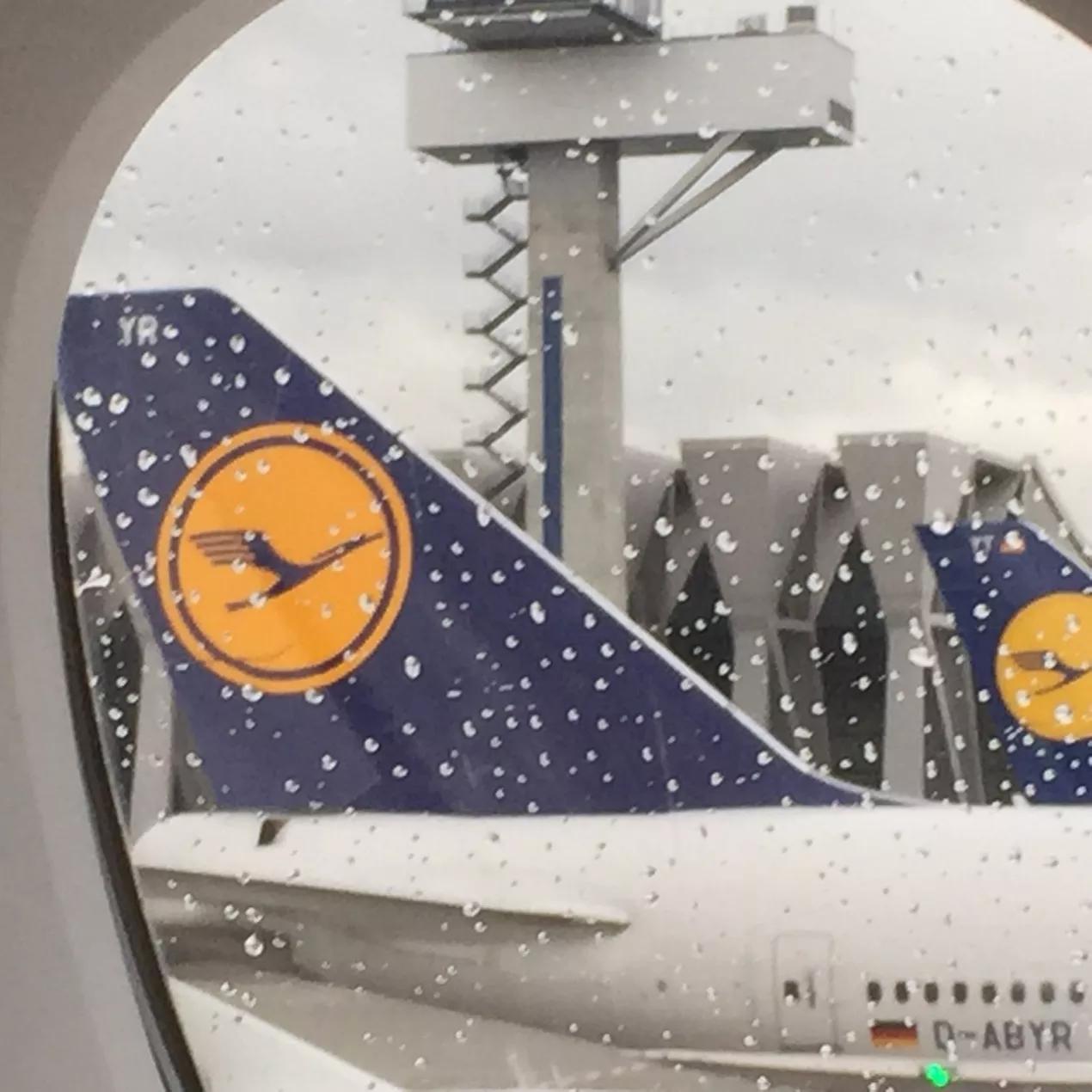 昨天我乘飞机去北京英语怎么说,我昨天坐飞机去北京英文