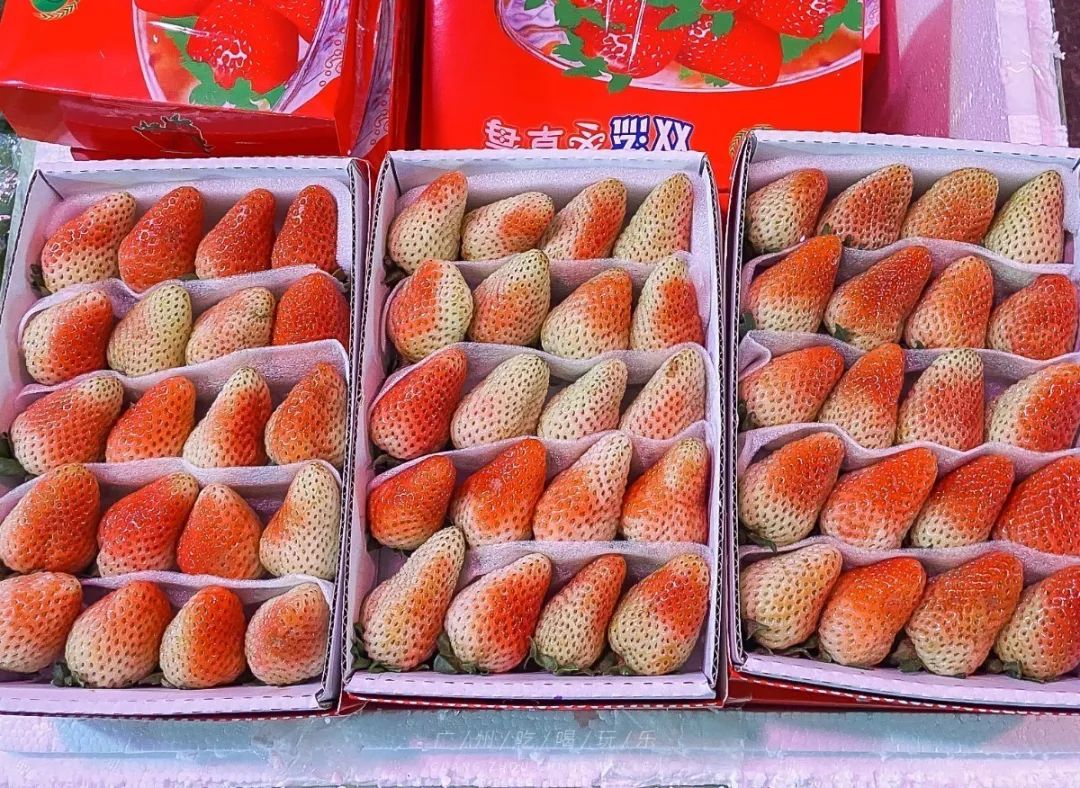 地铁坐到水果市场附近,广州天平架水果市场