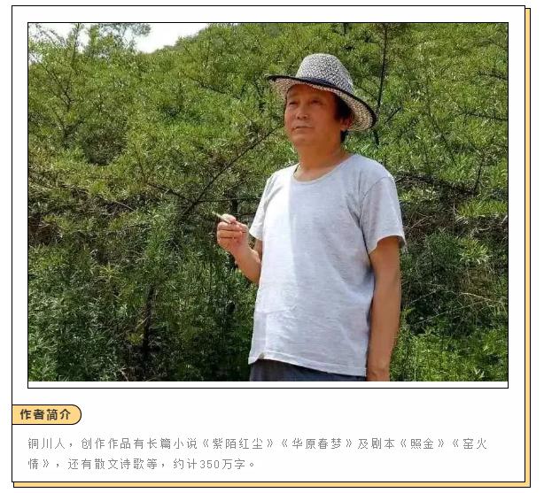 【王益文苑】耀瓷情（一）