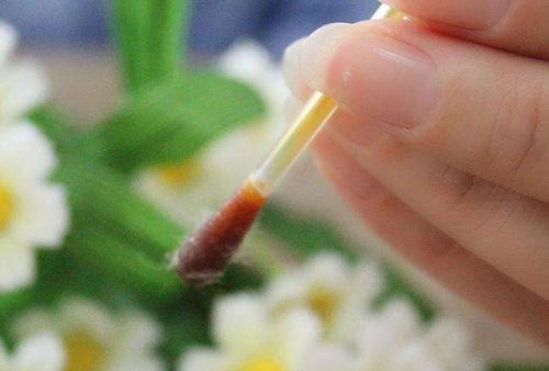 猫鼻子受伤怎么包扎,猫脚受伤了不敢落地