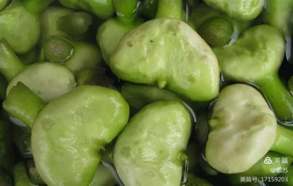 美好的记忆|嘉兴的糖果厂与糖纸