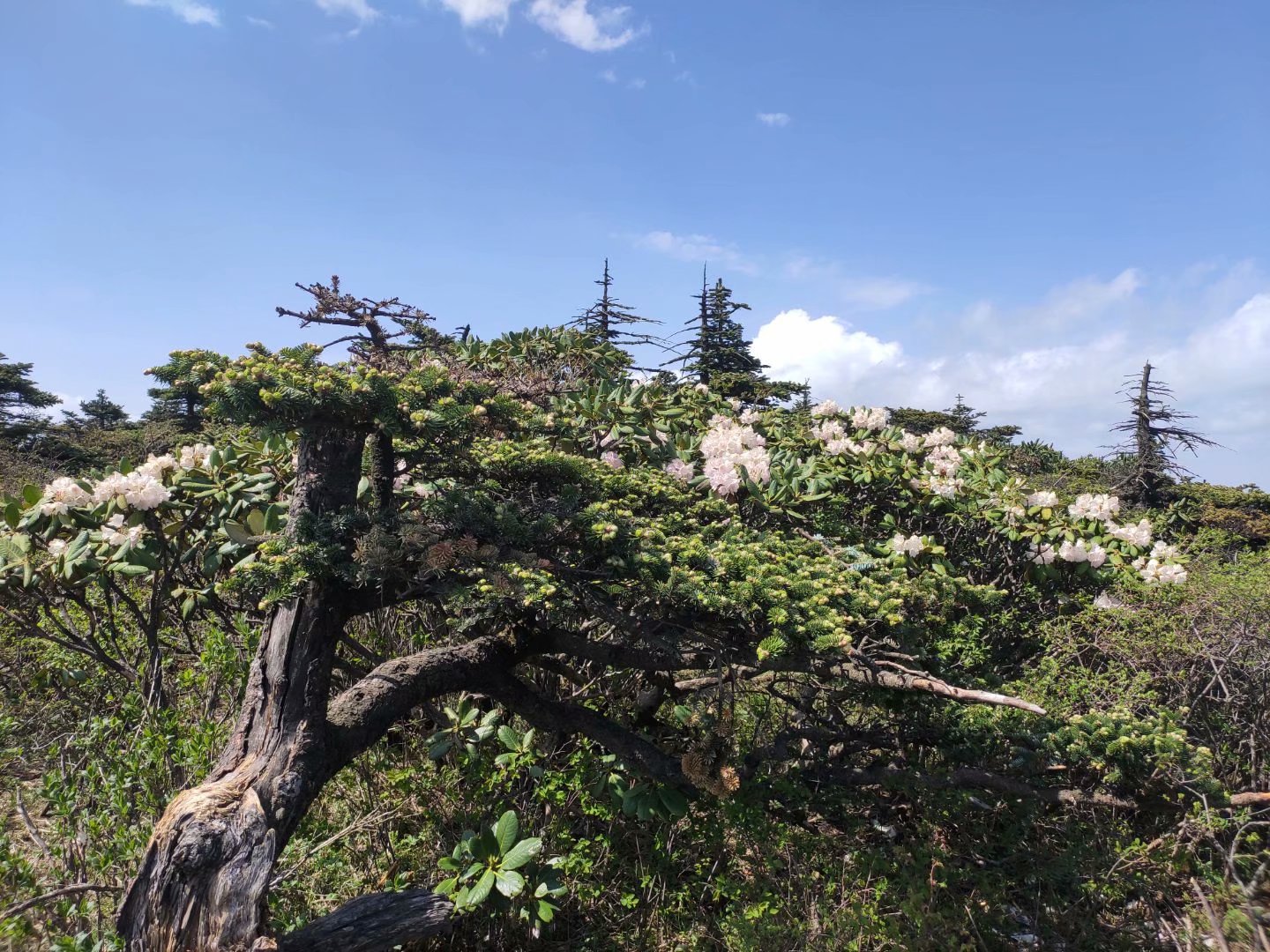 户外装备用品大全,如何挑选户外装备