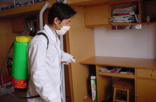 跳蚤传染什么疾病,跳蚤一直吸血怎么办