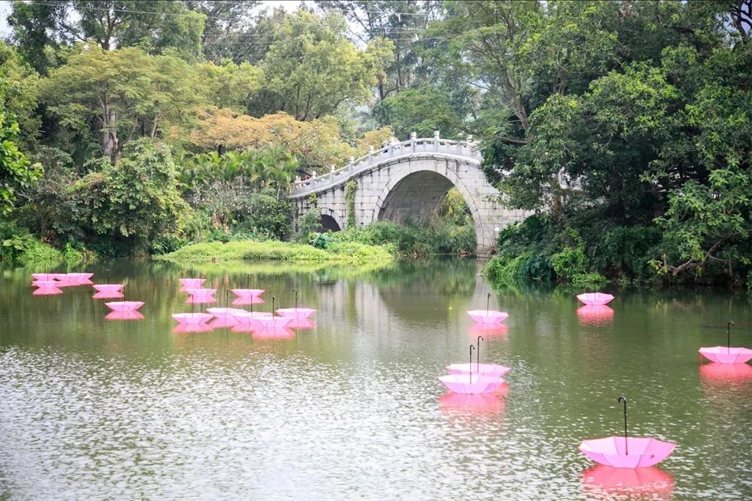 深圳吃喝玩乐两日游推荐,深圳周边游吃喝一日游推荐