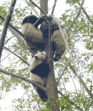 做塑料姐妹,真正的塑料姐妹是什么样的