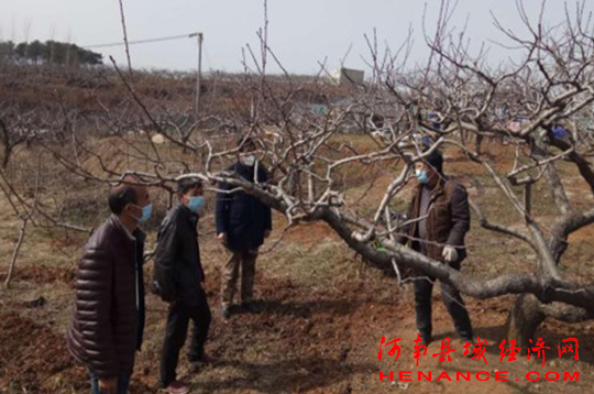 桃园里欢声笑语,桃园深处音质