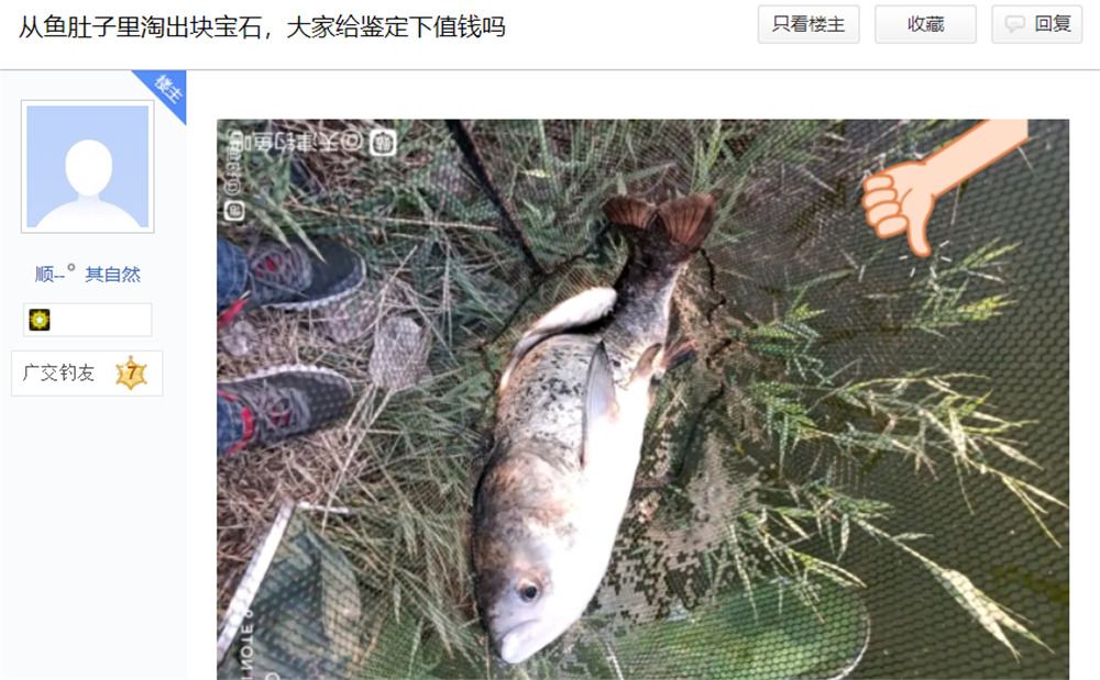 文能提笔安天下武能握枪保家国,文能提笔安天下武能挥刀治国家