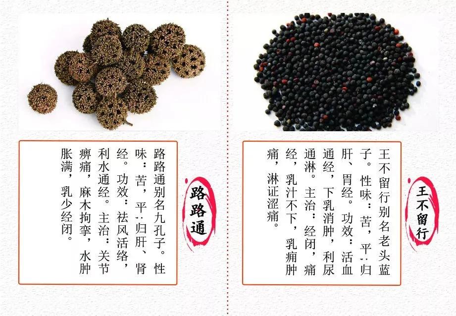 中药妇科常用药,妇科常用中药方剂有哪些