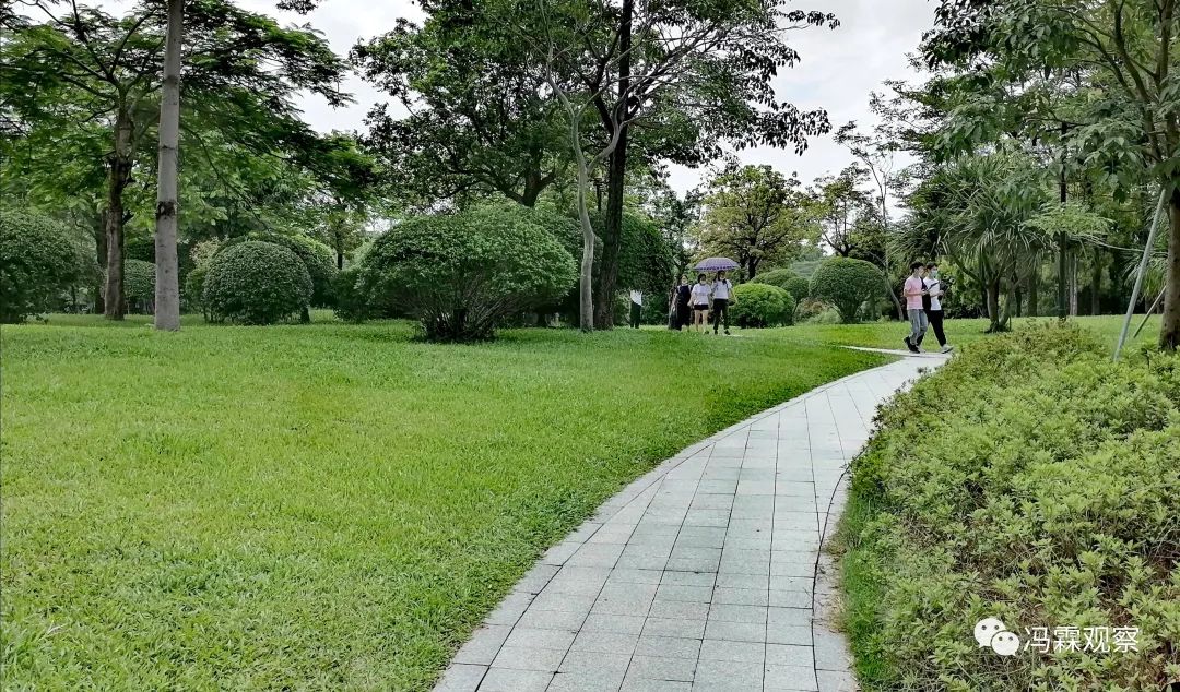 从清茶中飘出来的悠美短文！（文化观察之一O三）